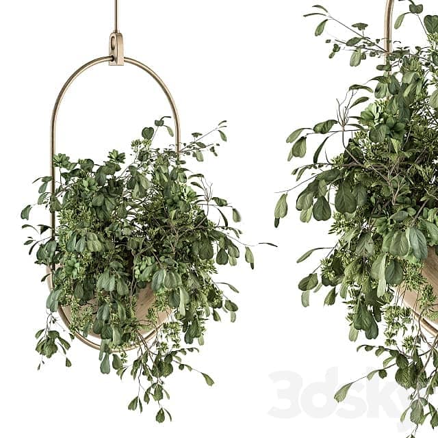 indoor Plant Set 283 Hanging Plants