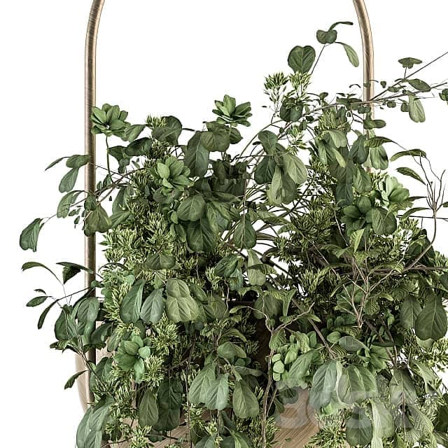 indoor Plant Set 283 Hanging Plants