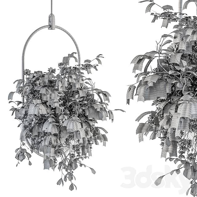 indoor Plant Set 283 Hanging Plants