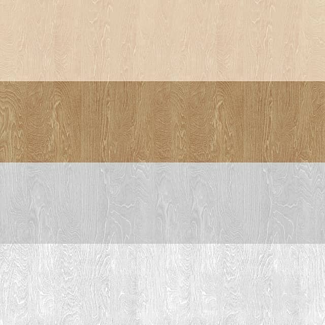 Seamless texture Birch 3D Models 3DSKY