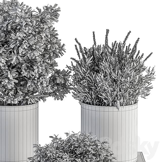 indoor Plant Set 305 Small Plant pot 3D Models 3DSKY