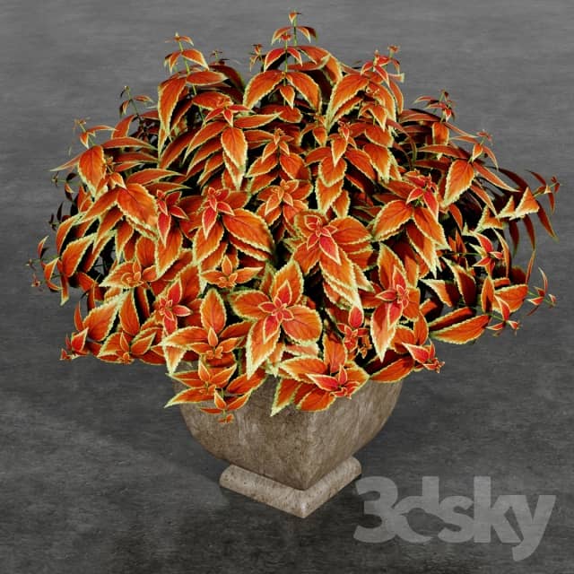 Plant 3 Bouquet 3D Models