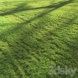 Sunset grass 3D Models 3DSKY 