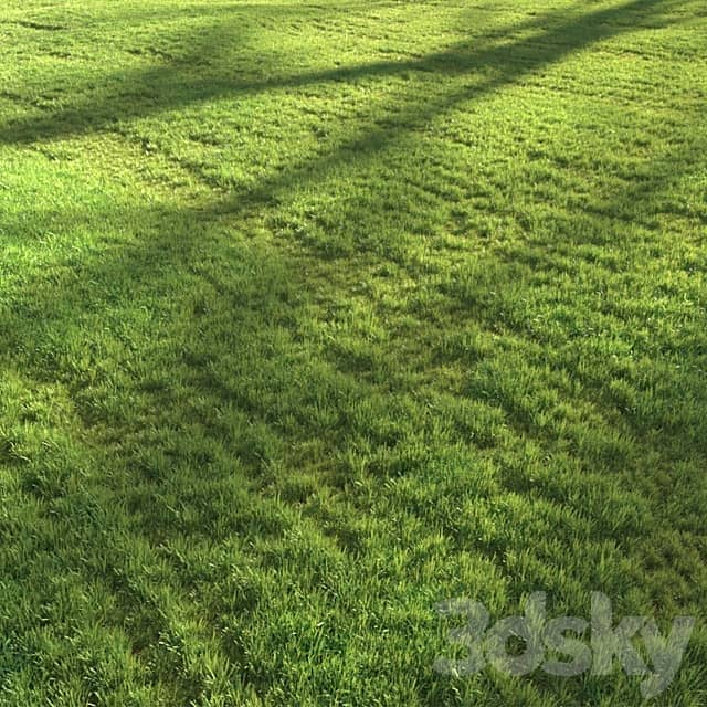 Sunset grass 3D Models 3DSKY