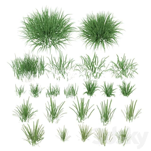 Sunset grass 3D Models 3DSKY