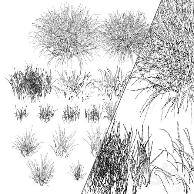 Sunset grass 3D Models 3DSKY