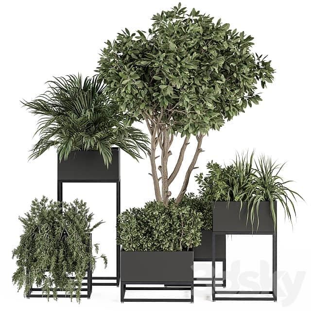 indoor Plant Set 327 Plant Set in Black Box 3D Models