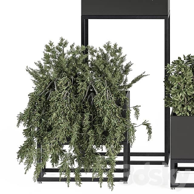 indoor Plant Set 327 Plant Set in Black Box 3D Models