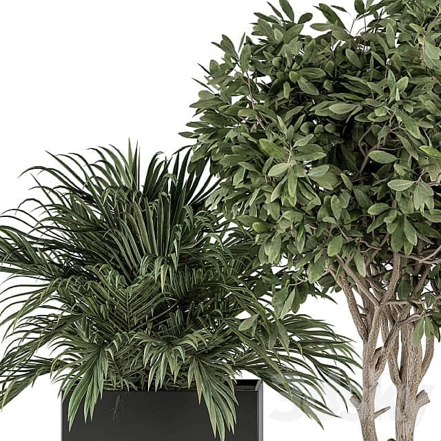 indoor Plant Set 327 Plant Set in Black Box 3D Models