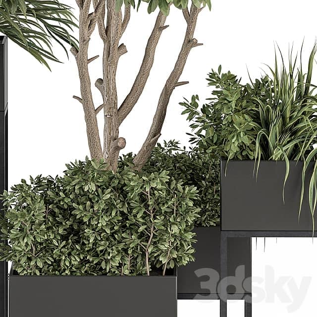 indoor Plant Set 327 Plant Set in Black Box 3D Models