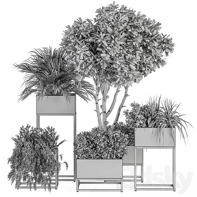 indoor Plant Set 327 Plant Set in Black Box 3D Models