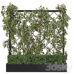 Vertical Garden Planter with trellis Fitowall 3D Models 