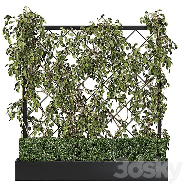 Vertical Garden Planter with trellis Fitowall 3D Models