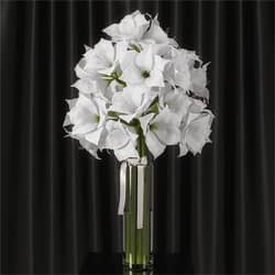 Amaryllis bouquet 3D Models 