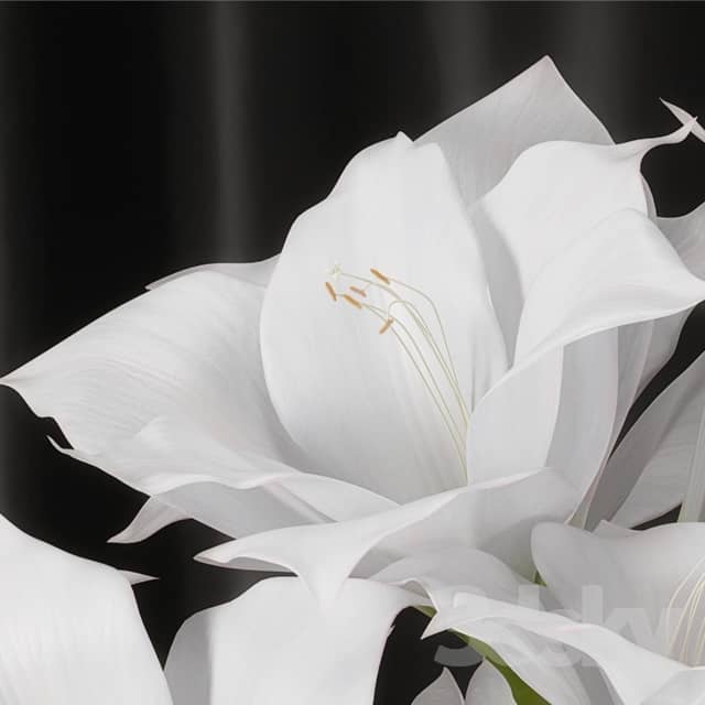 Amaryllis bouquet 3D Models
