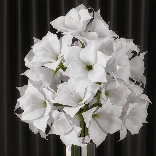 Amaryllis bouquet 3D Models