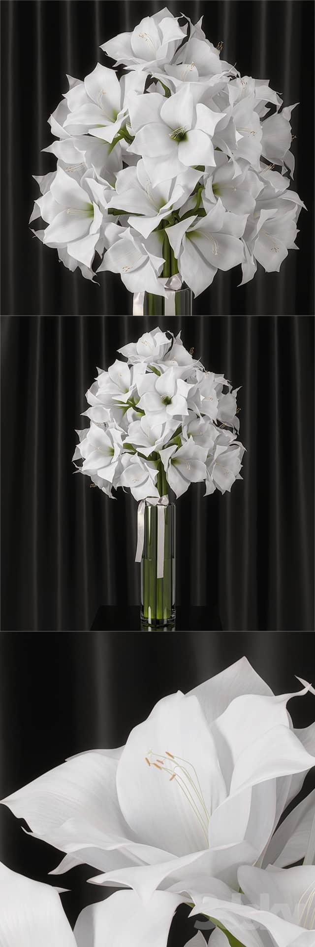 Amaryllis bouquet 3D Models
