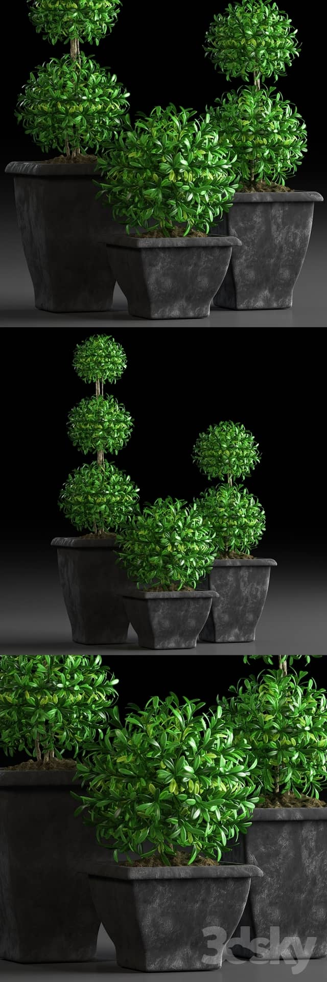 PLANTS 15 3D Models
