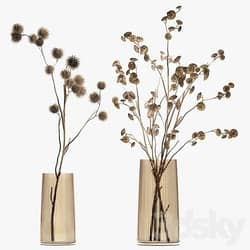 Bouquet 245. dried flower branches thorns dry decor glass vase eco design interior branches with thorns thorn Eucalyptus 3D Models 