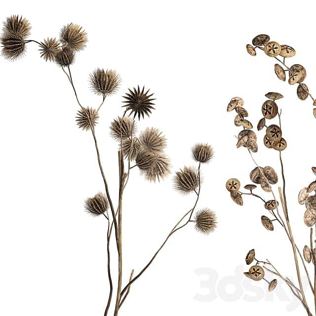 Bouquet 245. dried flower branches thorns dry decor glass vase eco design interior branches with thorns thorn Eucalyptus 3D Models