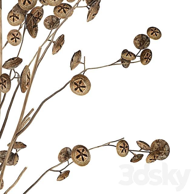 Bouquet 245. dried flower branches thorns dry decor glass vase eco design interior branches with thorns thorn Eucalyptus 3D Models