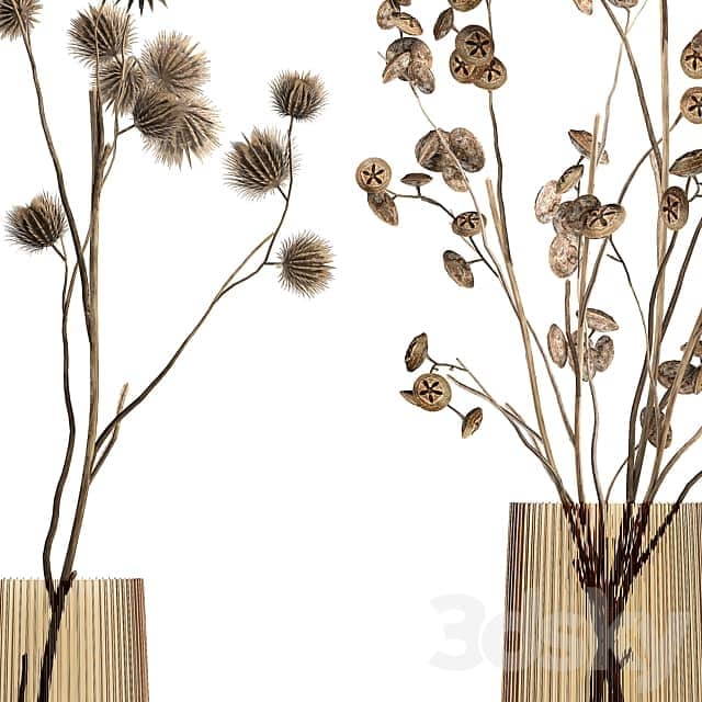 Bouquet 245. dried flower branches thorns dry decor glass vase eco design interior branches with thorns thorn Eucalyptus 3D Models