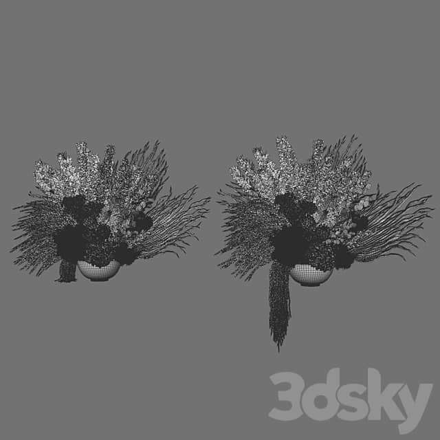 Flower Set 035 Big Pampas 3D Models