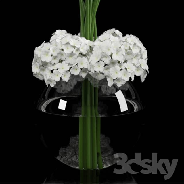 Calla Lily 2 3D Models