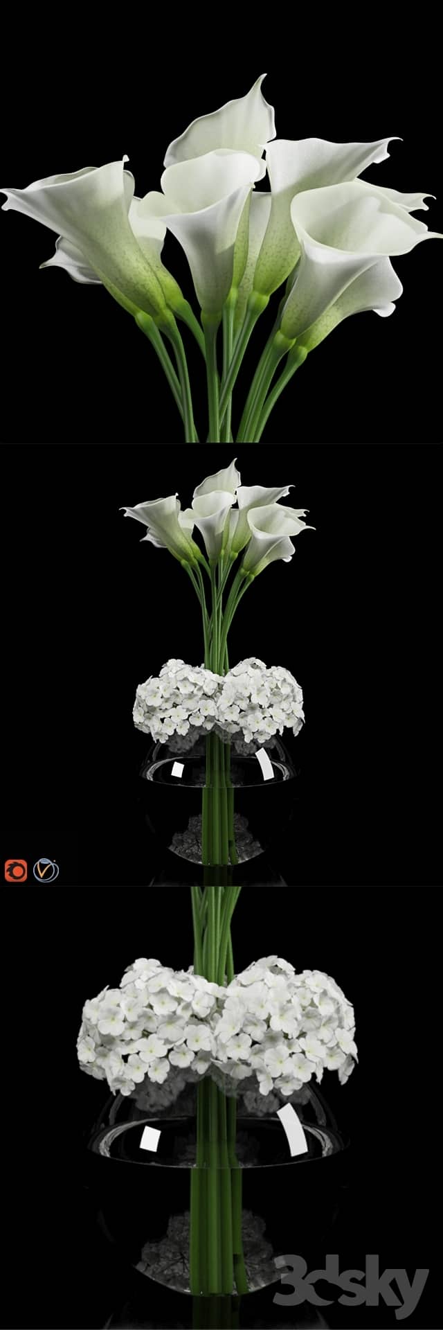 Calla Lily 2 3D Models