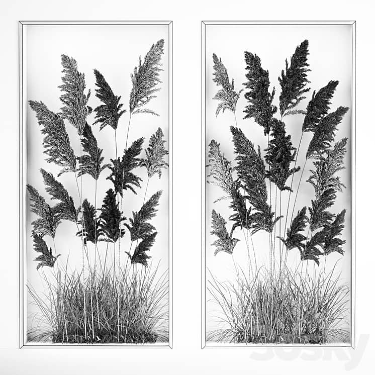 Phytomodule, phytobox and a vertical garden of dried flowers in a niche behind translucent glass cortaderium. Bouquet 282.