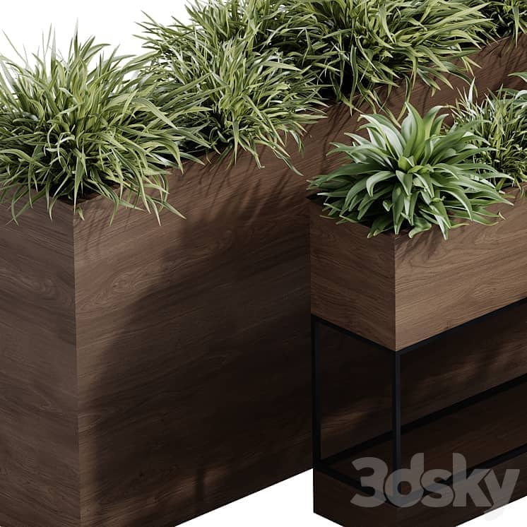 indoor plant set 65