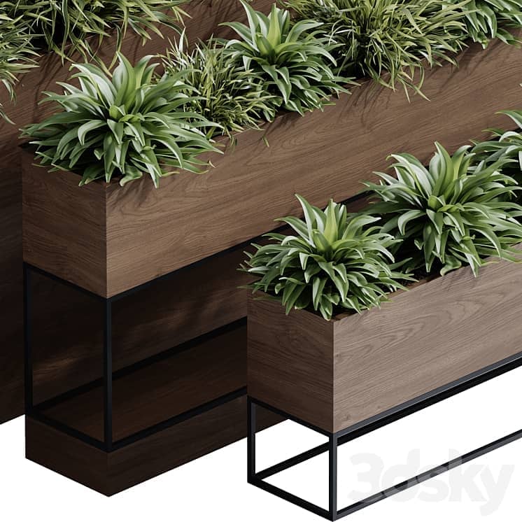 indoor plant set 65