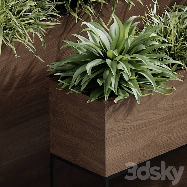 indoor plant set 65