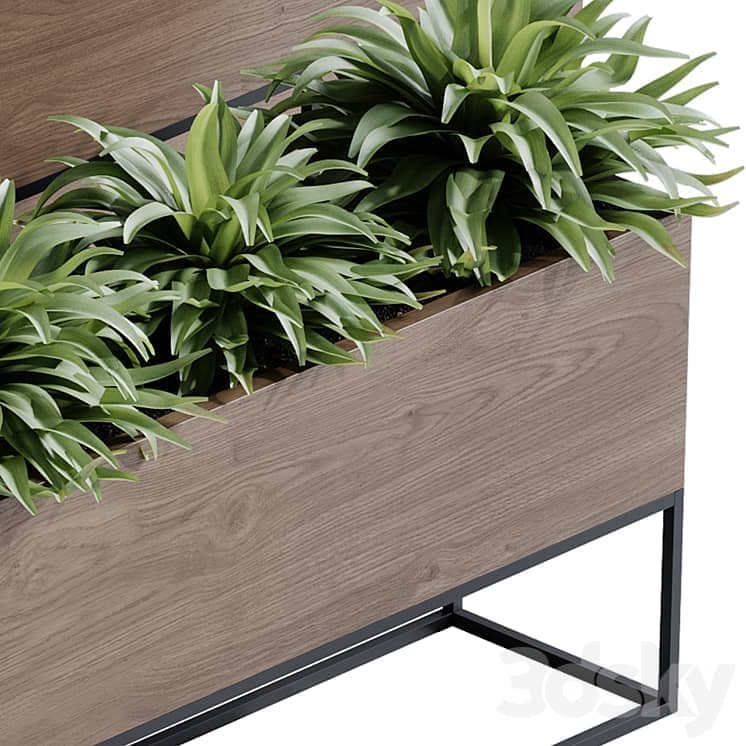 indoor plant set 65