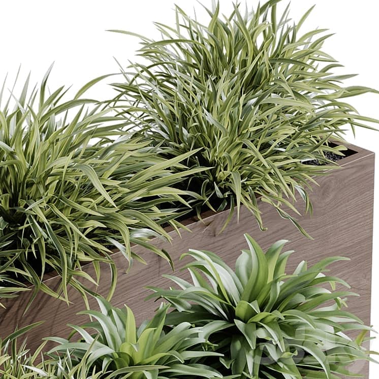 indoor plant set 65