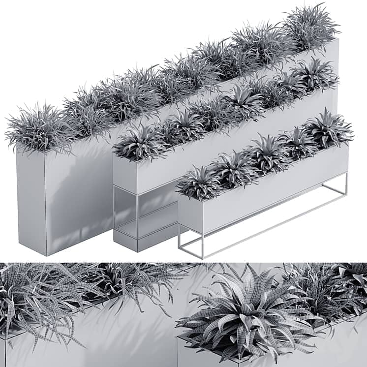 indoor plant set 65