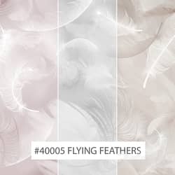 Creativille | wallpapers | 40005 Flying Feathers 