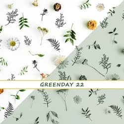 Designer wallpaper GREENDAY 22 pack 6 