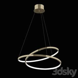 NEWPORT 15000 15202/S champagne gold black glossy 