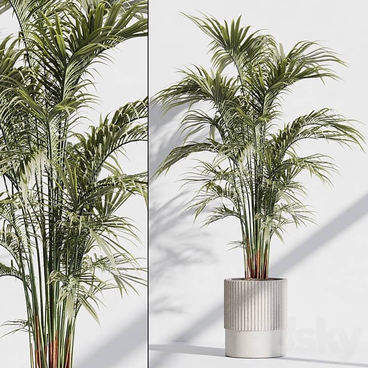 indoor plant set 76