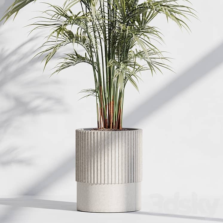 indoor plant set 76