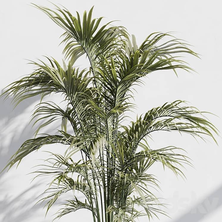 indoor plant set 76