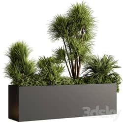 Plant Box Outdoor Plants 580 
