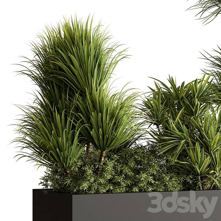 Plant Box Outdoor Plants 580