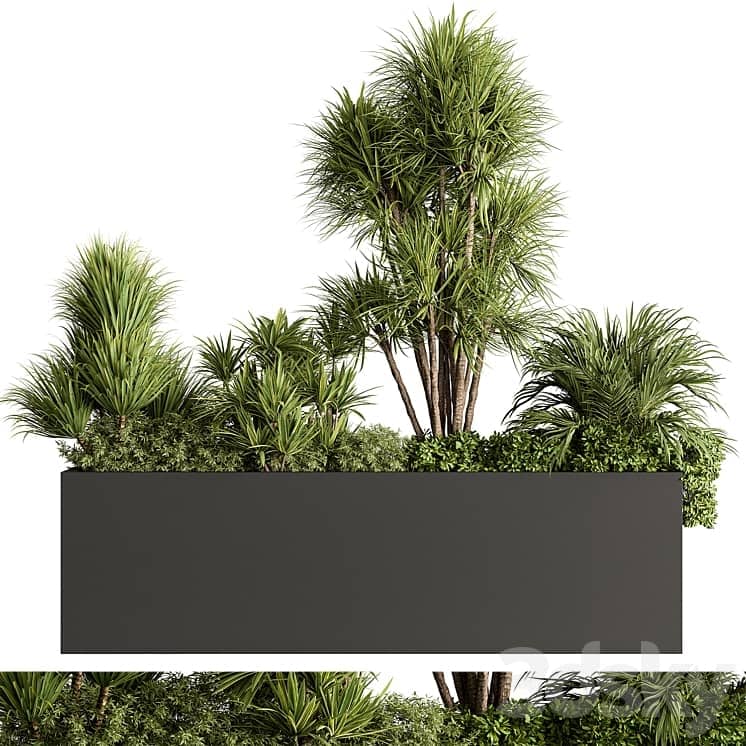 Plant Box Outdoor Plants 580