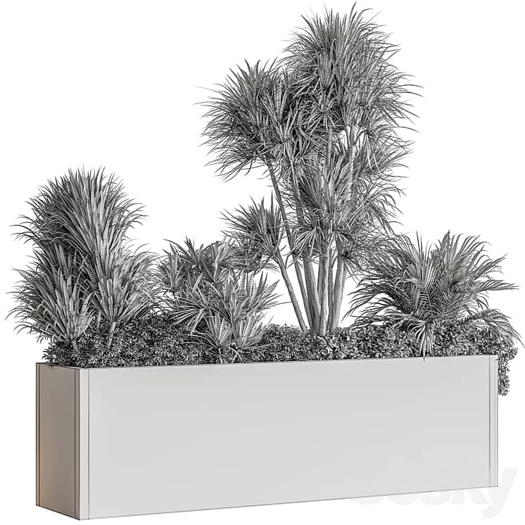 Plant Box Outdoor Plants 580