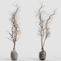 Branches in vases 30 