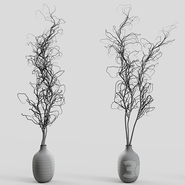 Branches in vases 30