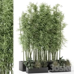 Indoor Plants Bamboo Set in rusty Concrete Pots Set 1894 