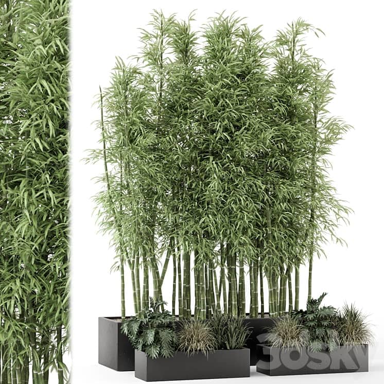 Indoor Plants Bamboo Set in rusty Concrete Pots Set 1894